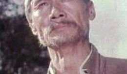 地道战电视剧演员表,重温经典，致敬英雄岁月