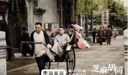 芝麻胡同电视剧,胡同里的岁月流转与人生百态
