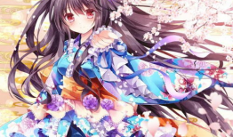 姐姐动漫,青春校园的甜蜜邂逅