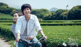 夏有乔木雅望天堂电视剧,青春爱情的浪漫交响曲